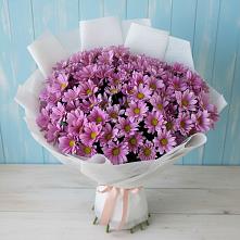 Букет цветов из:  Хризантемы в городе Мыски
