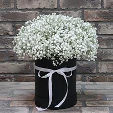 Цветочная композиция из Гипсофила в шляпной коробке в городе Мыски