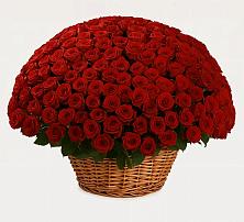 Премиум букет из: Розы в городе Мыски